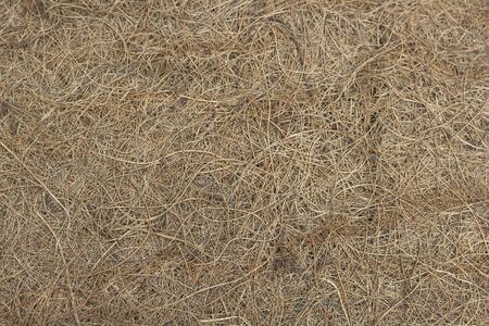 Coconut fiber ecologic fabric textureの写真素材