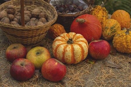 Autumn goods: pumpkings, apples and nutsの写真素材