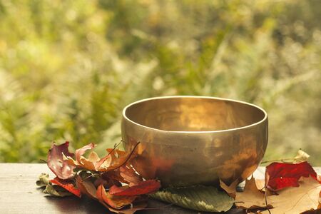 Tibetan bowl and autumnal leavesの写真素材