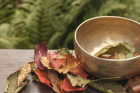 Tibetan bowl and autumnal leavesの写真素材