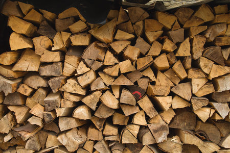 A pile of wood logs