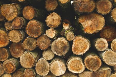 A pile of wood logsの写真素材