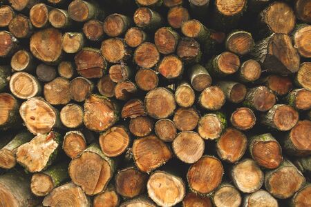 A pile of wood logsの写真素材