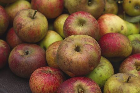 A pile of organic red and green applesの写真素材