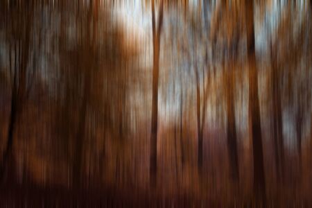 Moody dark forest with blurry effectの写真素材