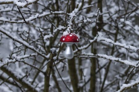 Amanita muscaria christmas decoration on a tree with snowの写真素材