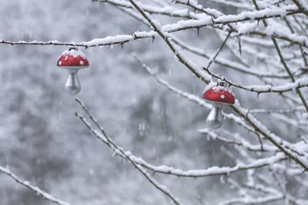 Amanita muscaria christmas decoration on a tree with snowの写真素材