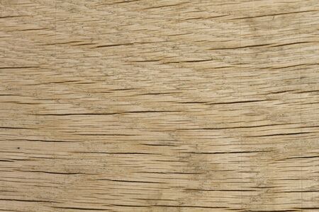 Detail of old wood textureの写真素材