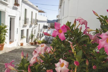 Charming streets in Frigiliana, Andalicia, Spainの写真素材