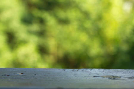 Wooden garden table and green nature backgroundの写真素材