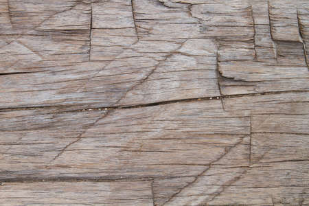 Detail of old hardwood surfaceの写真素材