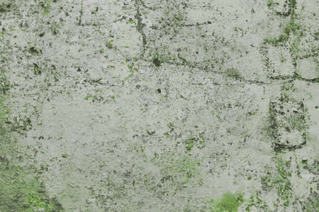 Detail of old grungy wall textureの写真素材