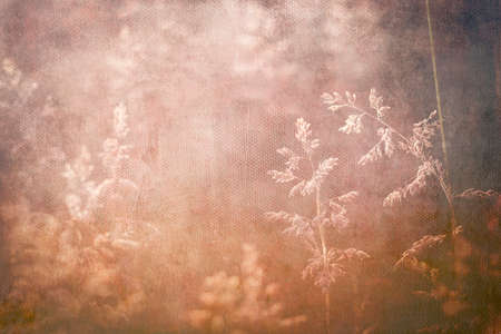 Summer grass, abstract nature backgroundの写真素材