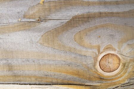 Detail of old wood texture with an eyeの写真素材
