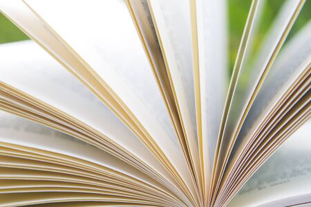 Detail of open book pagesの写真素材