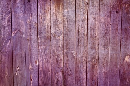 Purple colored wooden planks wallの写真素材