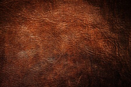 Detail of old leather textureの写真素材