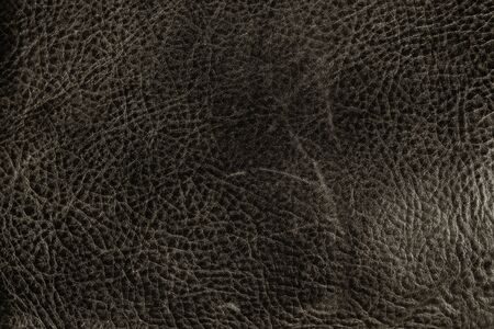 Detail of old leather textureの写真素材