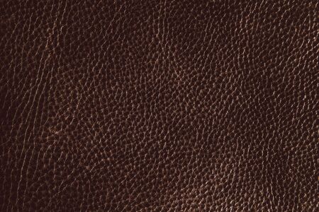 Detail of old leather textureの写真素材