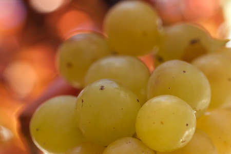 A bunch of fresh green grapesの写真素材
