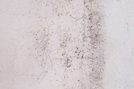 Old distressed wall grungy background or textureの写真素材