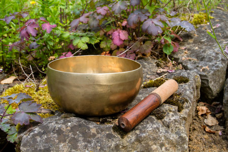 Tibetan bowl made of seven metalsの写真素材