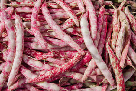 A pile of raw red beans "buenos aires"の写真素材