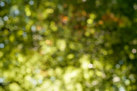 Green abstract background