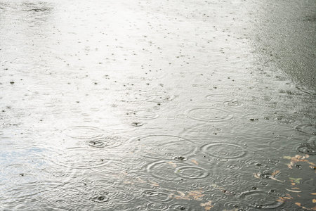 Rain drops on a lake