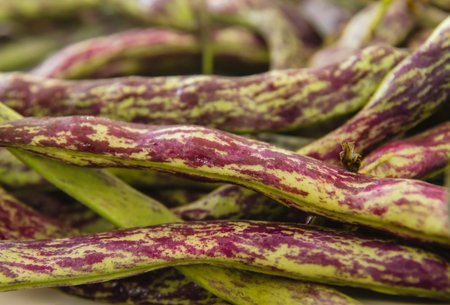 Raw purple green beans