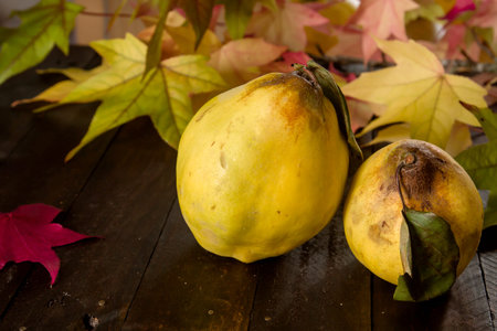 Raw quince frutisの写真素材