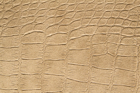 Fake leather texture or backgroundの写真素材