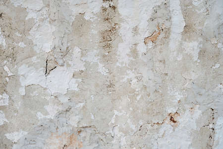 Old whitewashed lime plaster wall, grunge background or textureの写真素材