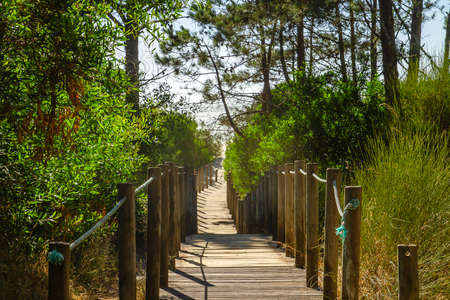 Wooden footbridge leading to âPraia do Camaridoâ across the coastal dunes in Viana do Castelo district, Portugalの写真素材