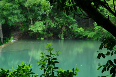 Green old-growth forest and river in Fragas do Eume natural park, Galicia, Spainの写真素材