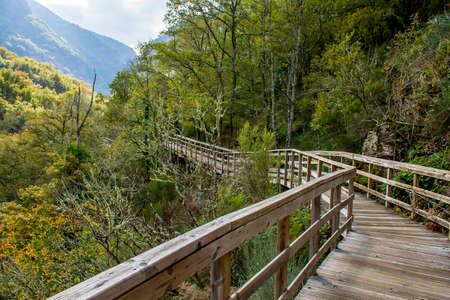 Wooden walkway in Mao River Canyon, Ribeira Sacra, Galicia, Spainの写真素材