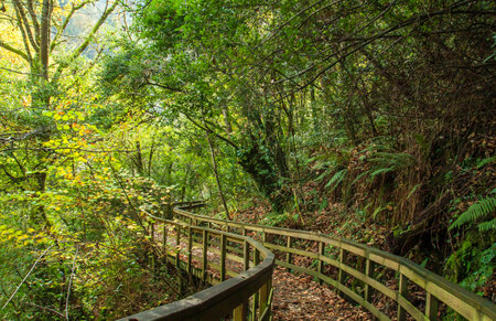 Wooden walkway in Mao River Canyon, Ribeira Sacra, Galicia, Spainの写真素材