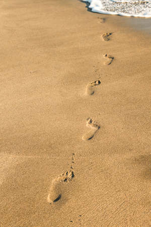 Nude human footprints on the sand of a beach walking to the waterの写真素材