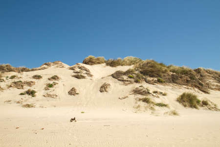 Sand dunes and blue skyの写真素材