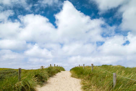 Path in the Dunes of Texel National Parkの写真素材