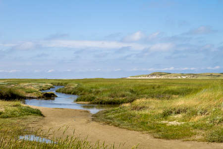 Marshland landscape in De Slufter nature reserve, Nationaal Park Duinen van Texel in the island of Texel, North Holland, Netherlandsの写真素材