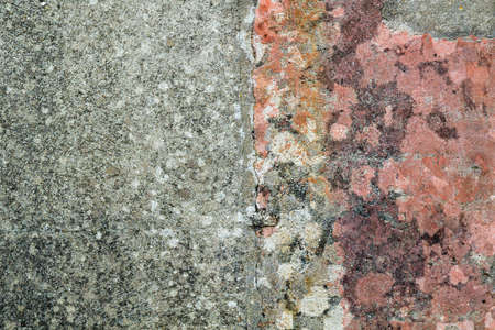 Old distressed cement wall with lichens, grunge texture or backgroundの写真素材
