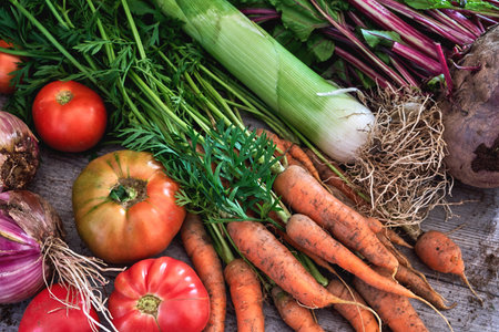 Fresh vegetables from the kitchen garden harvest, containing tomatoes, carrots, beetroot, leek,...