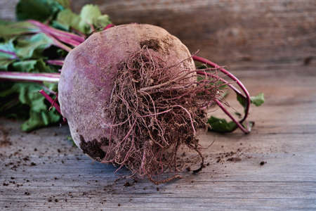 Garden beet beta vulgares with red stalks and green leavesの写真素材