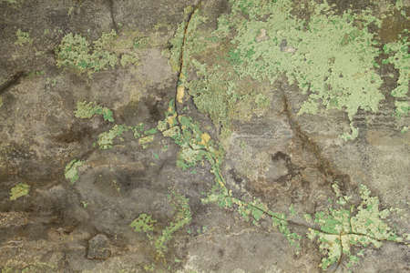 Old weathered cement wall with green peeling paint, grunge background or textureの写真素材