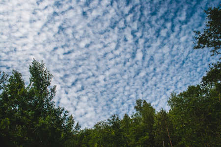 Altocumulus floccus white fluffy clouds covering the blue skyの写真素材