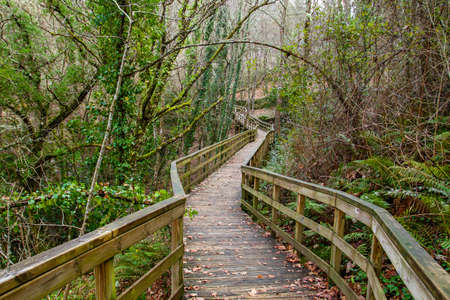 Wooden walkway in Mao River Canyon, Ribeira Sacra, Galicia, Spainの写真素材