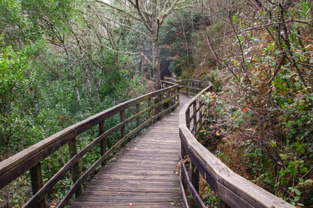 Wooden walkway in Mao River Canyon, Ribeira Sacra, Galicia, Spainの写真素材