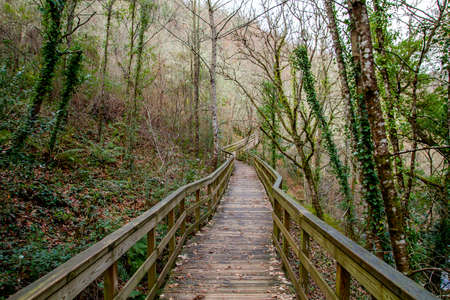 Wooden walkway in Mao River Canyon, Ribeira Sacra, Galicia, Spainの写真素材