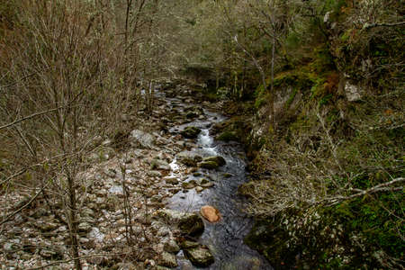 Mao River in atlantic forest, Ribeira Sacra, Galicia, Spainの写真素材